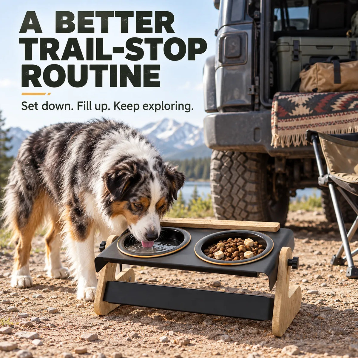 Domvire Adjustable Elevated Dog Bowls with Ceramic Bowls – Camping & Travel Feeder