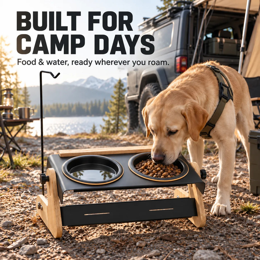 Domvire Adjustable Elevated Dog Bowls with Ceramic Bowls – Camping & Travel Feeder